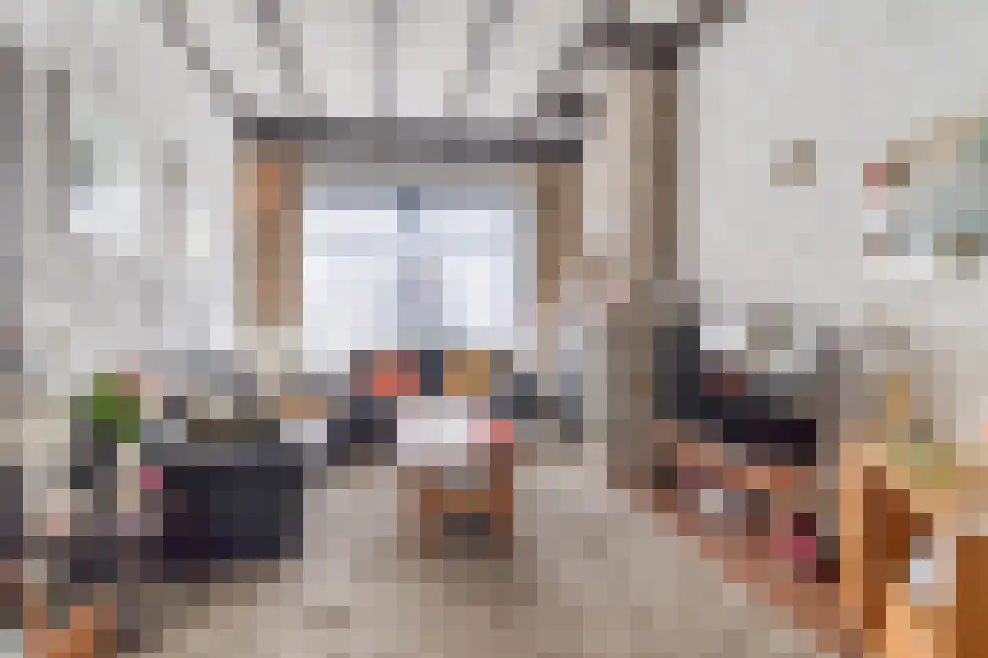 Prinsestraat 10 Cadzand thumbnail 8