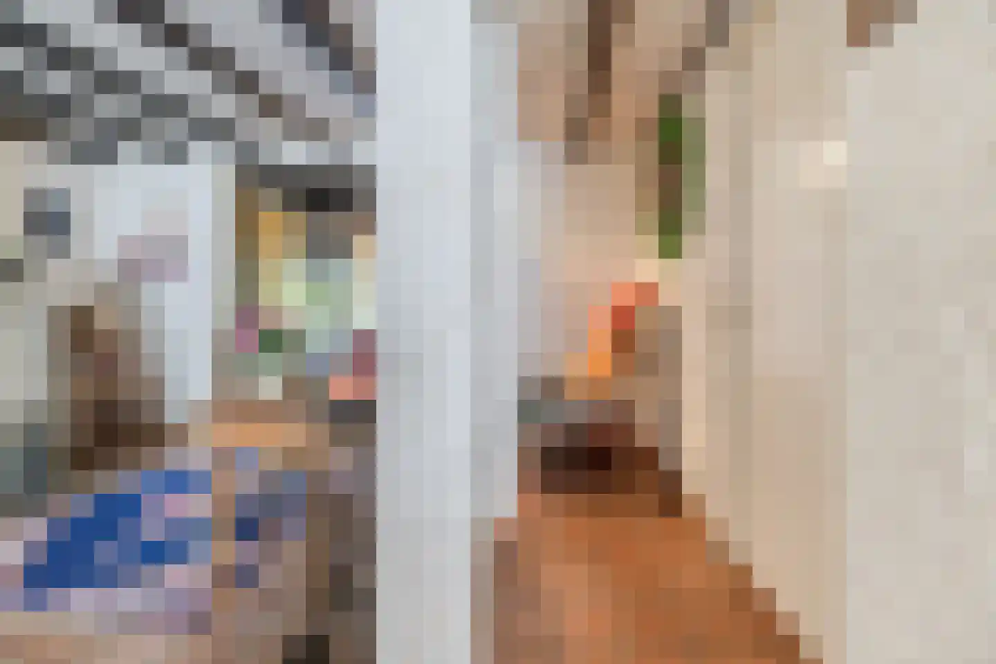 Prinsestraat 10 Cadzand thumbnail 9