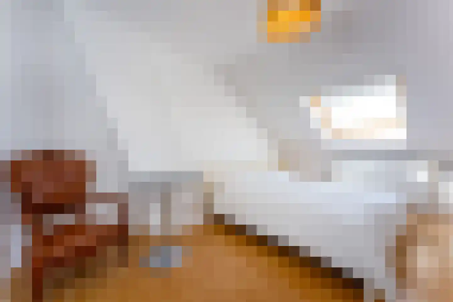 Prinsestraat 16 Cadzand thumbnail 30