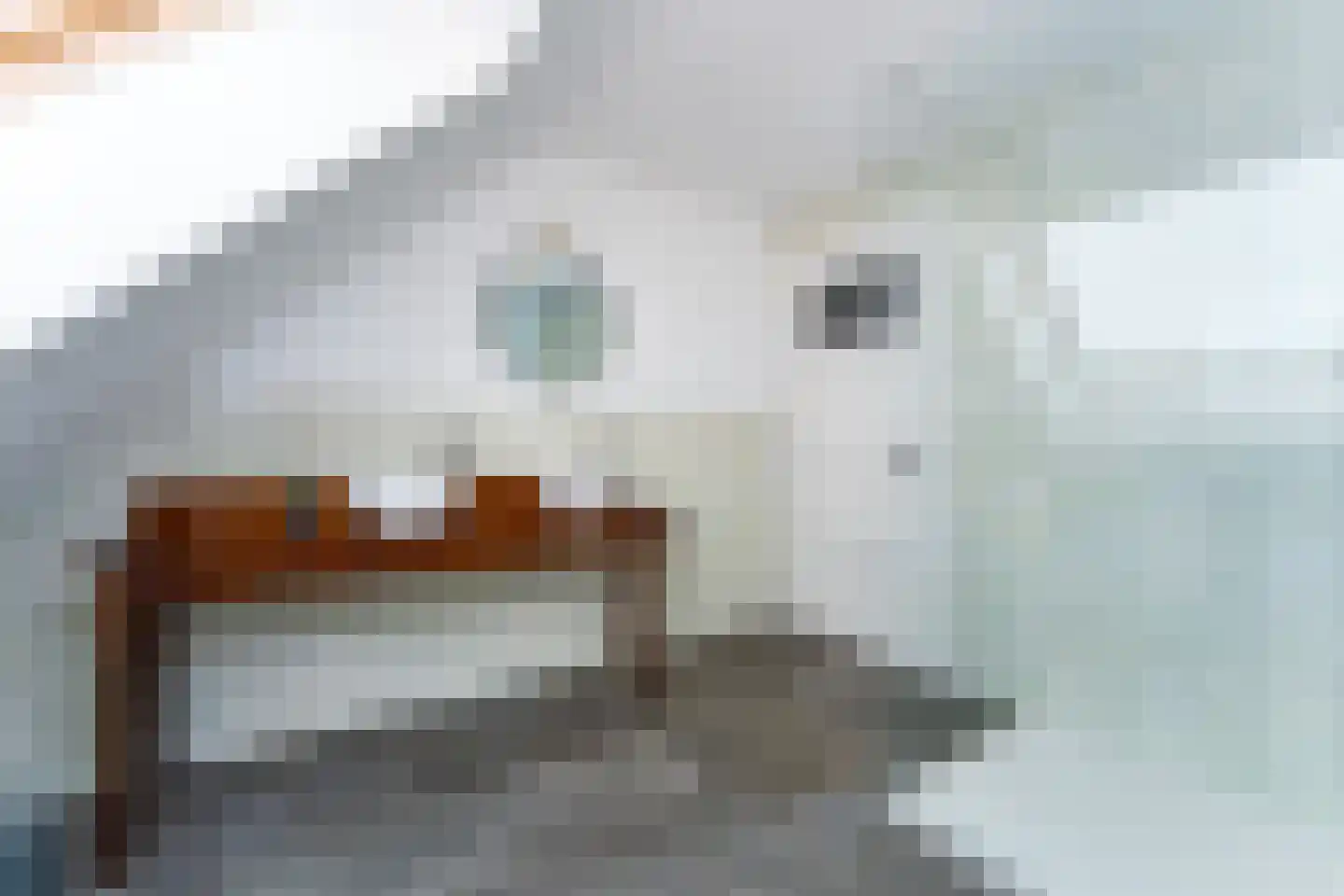 Prinsestraat 16 Cadzand thumbnail 33