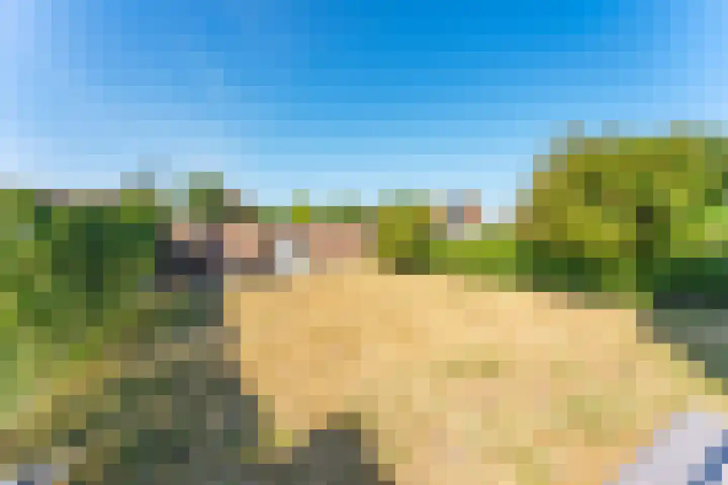 Prinsestraat 16 Cadzand thumbnail 36