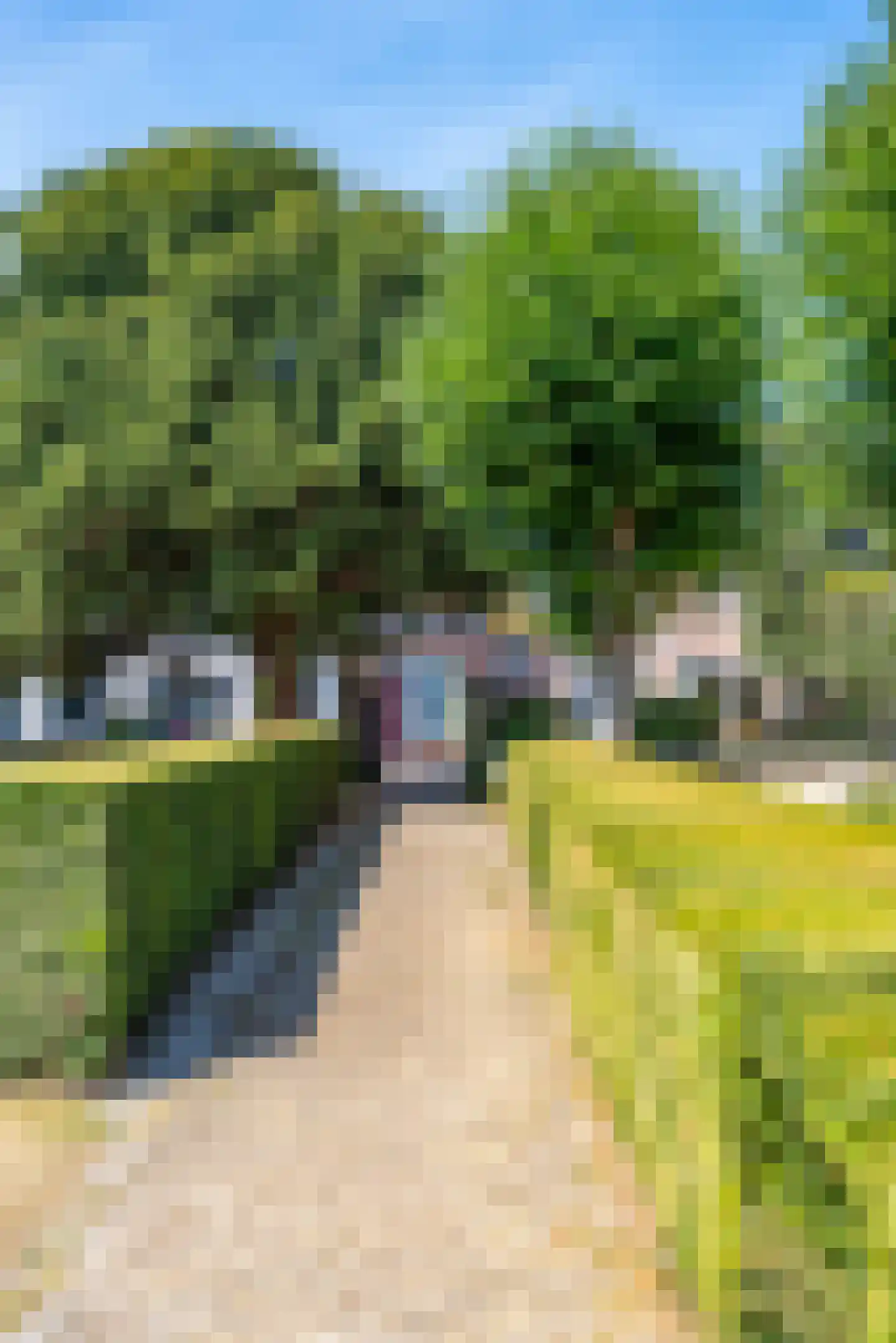 Prinsestraat 16 Cadzand thumbnail 6
