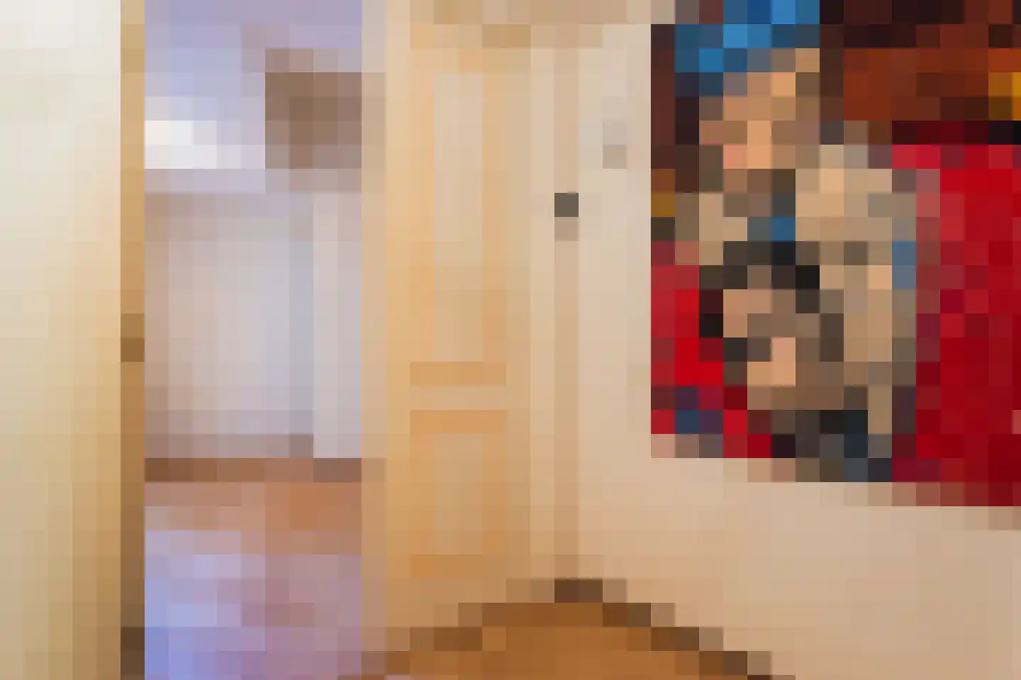 Prinsestraat 17 Den Haag thumbnail 9