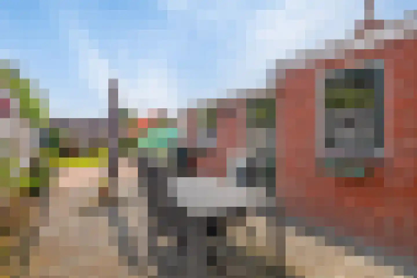 Prinsestraat 20 Cadzand thumbnail 11