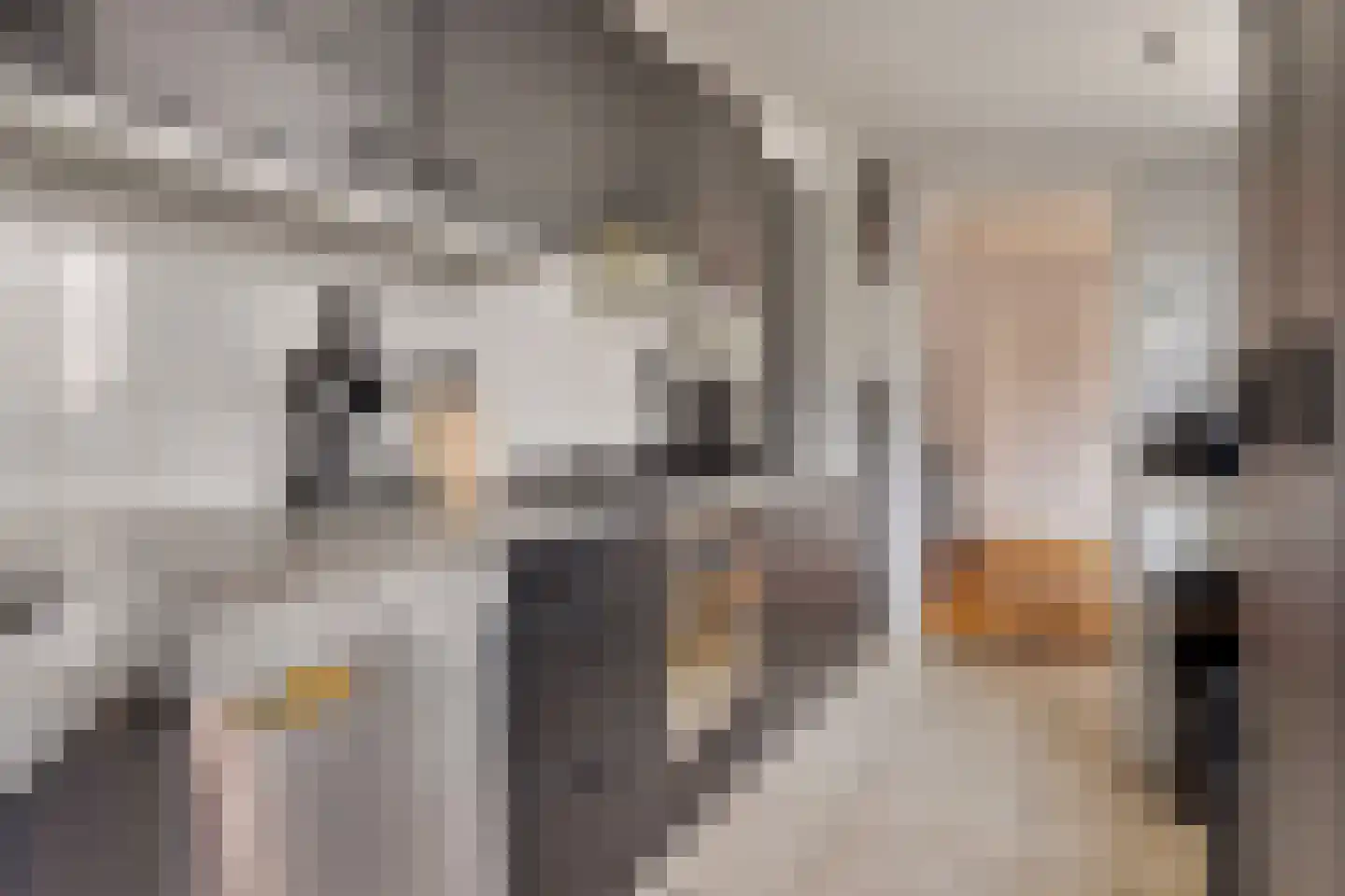Prinsestraat 20 Cadzand thumbnail 6