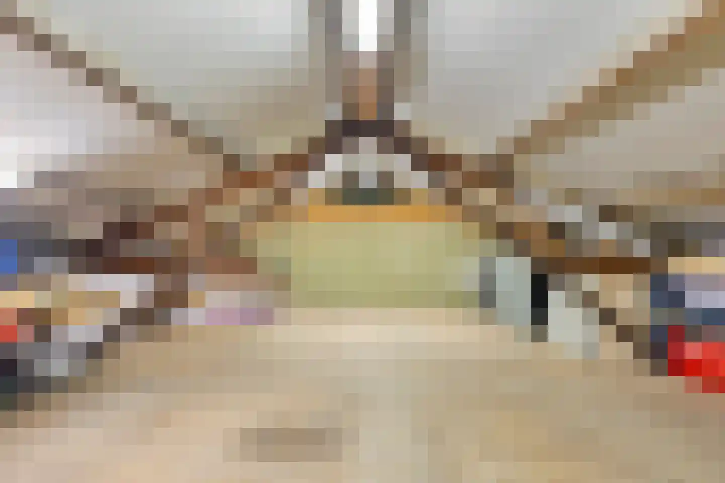 Prinsestraat 3 Cadzand thumbnail 45