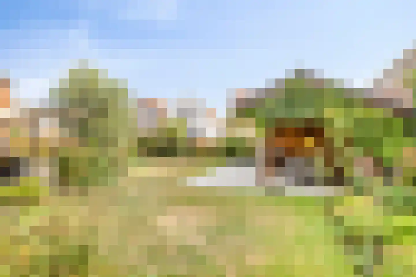 Prinsestraat 3 Cadzand thumbnail 46