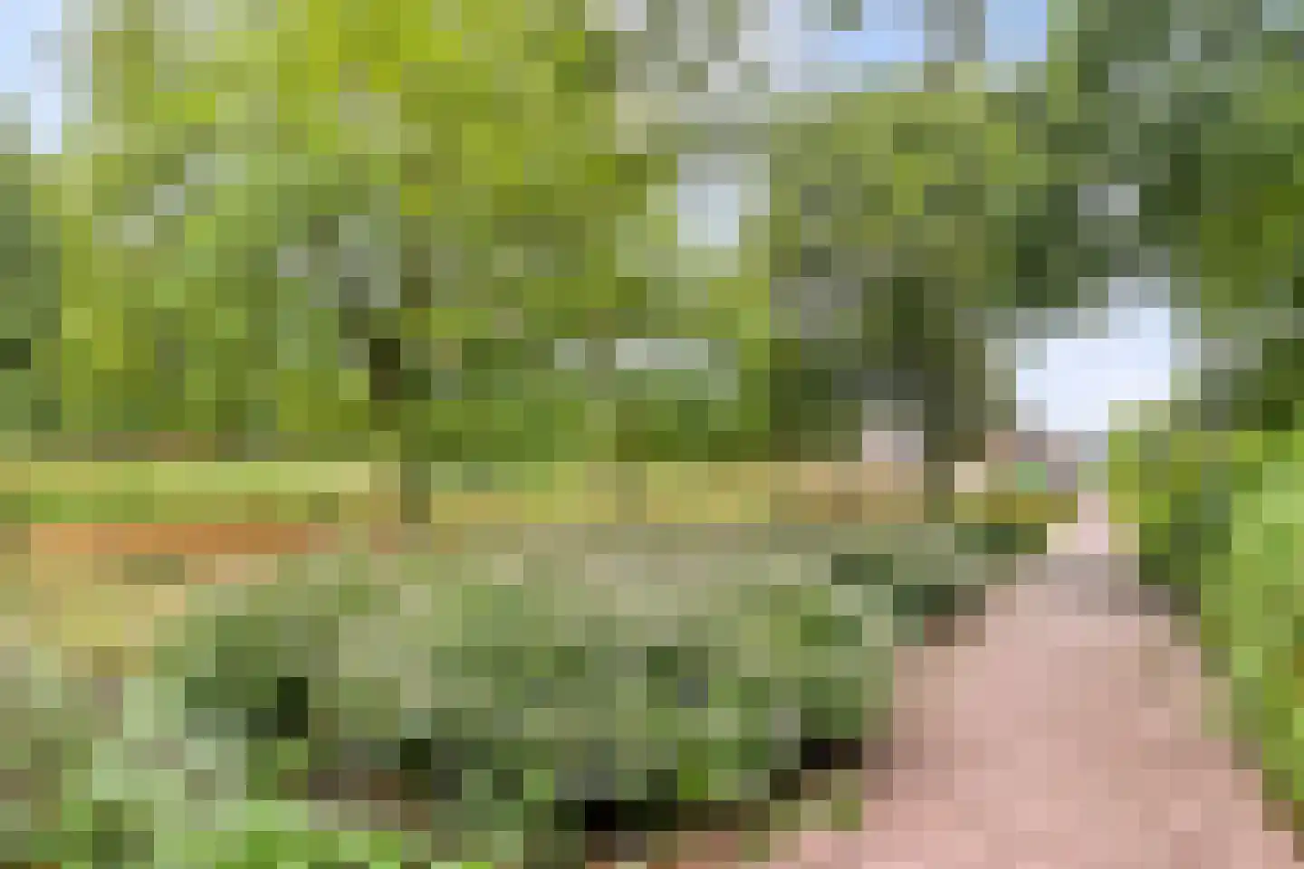 Prinsestraat 3 Cadzand thumbnail 53