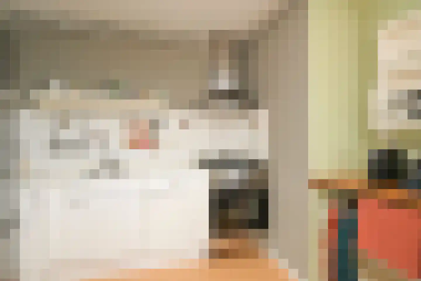 Prinsestraat 31 B Den Haag thumbnail 38