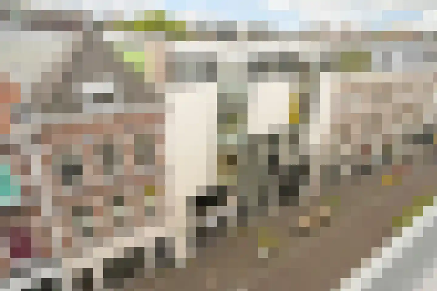 Prinsestraat 31 B Den Haag thumbnail 41