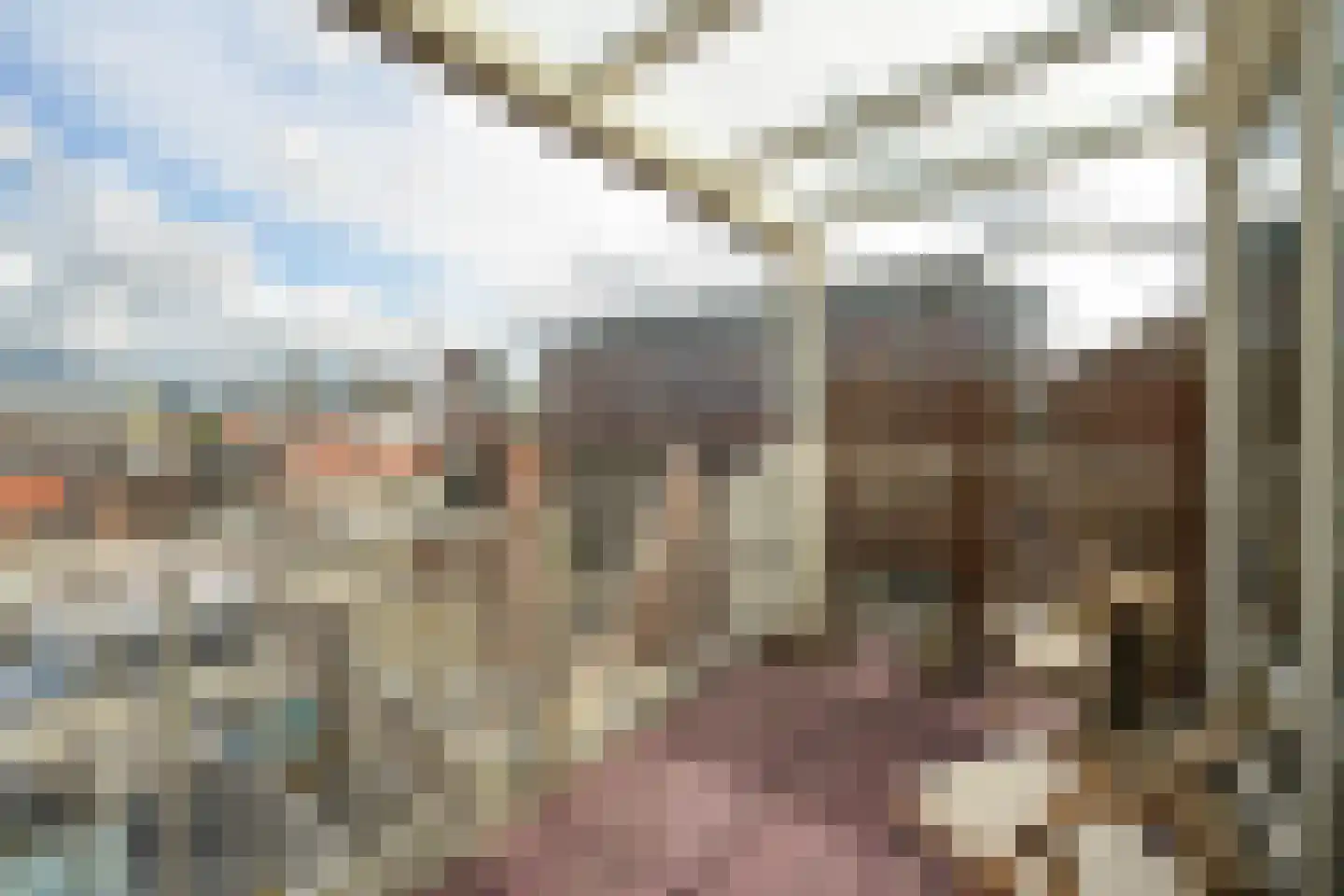 Prinsestraat 31 B Den Haag thumbnail 6