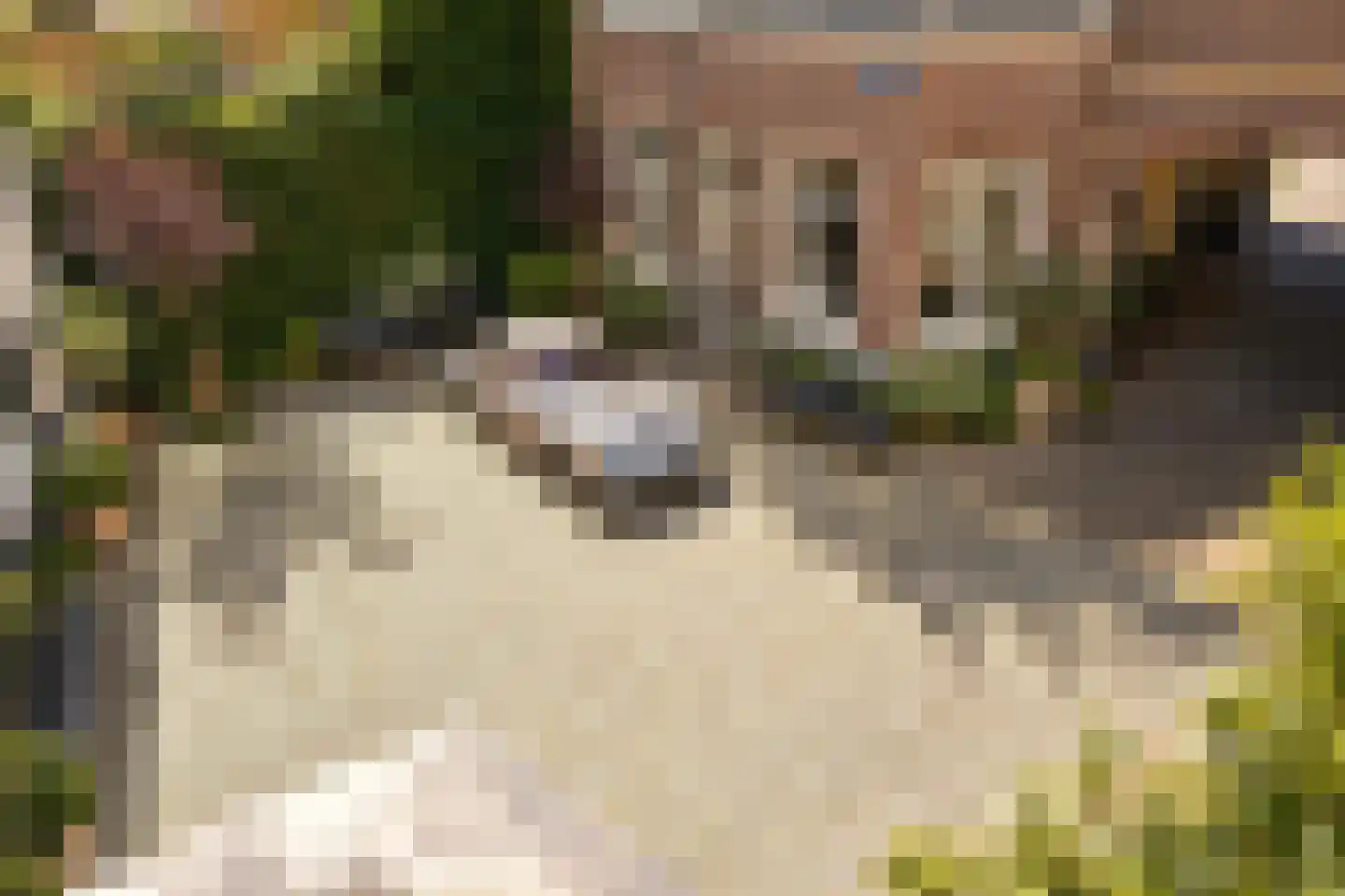 Prinsestraat 37 F Den Haag thumbnail 17