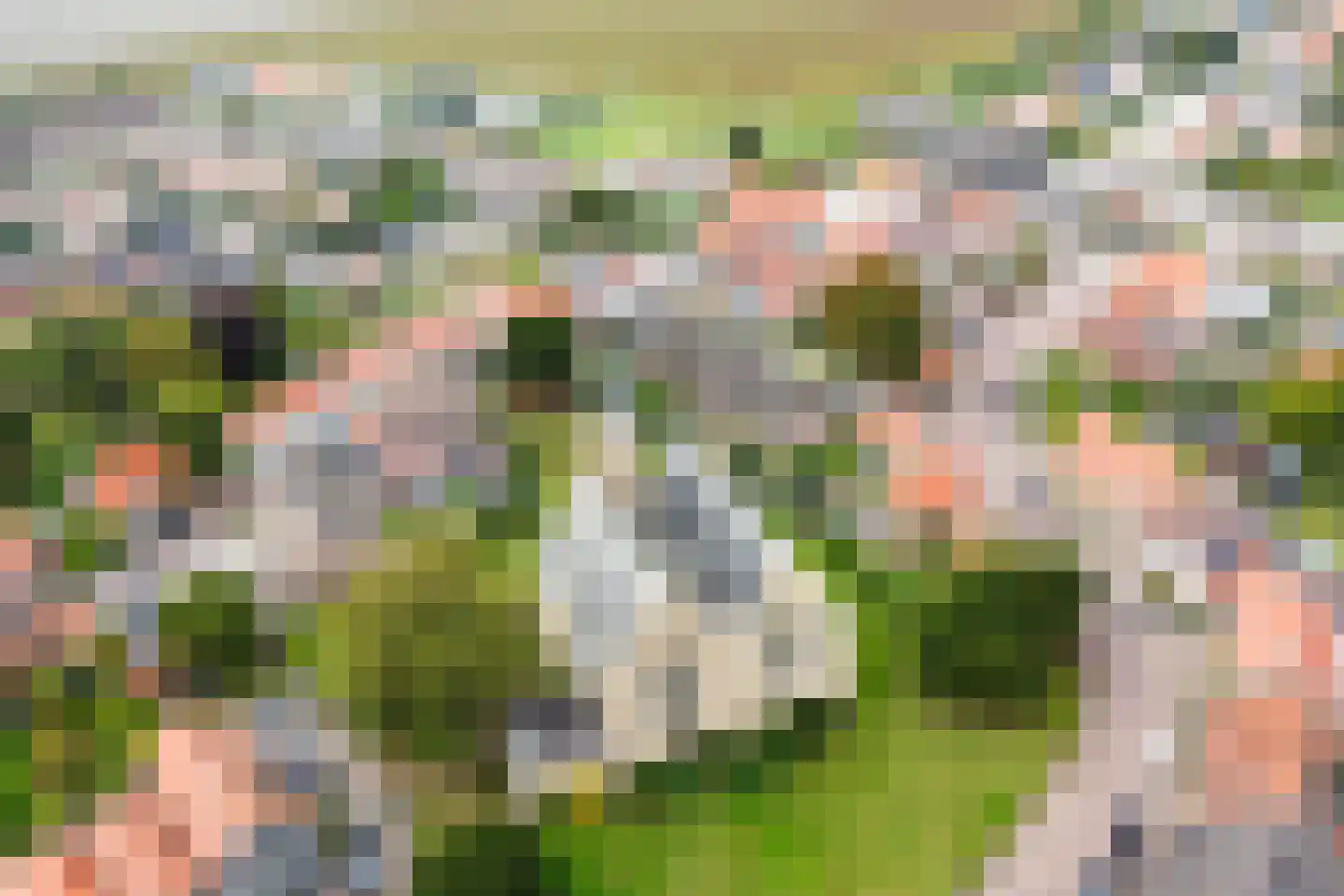 Prinsestraat 5 Cadzand thumbnail 38