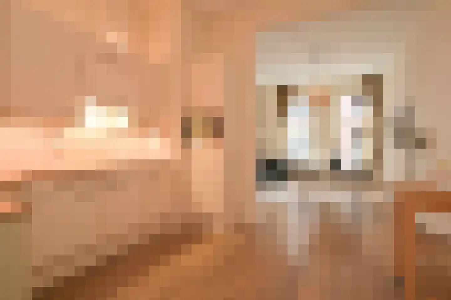 Prinsestraat 6 E Den Haag thumbnail 11
