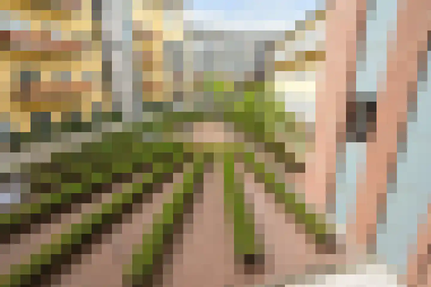 Prinsestraat 6 E Den Haag thumbnail 25