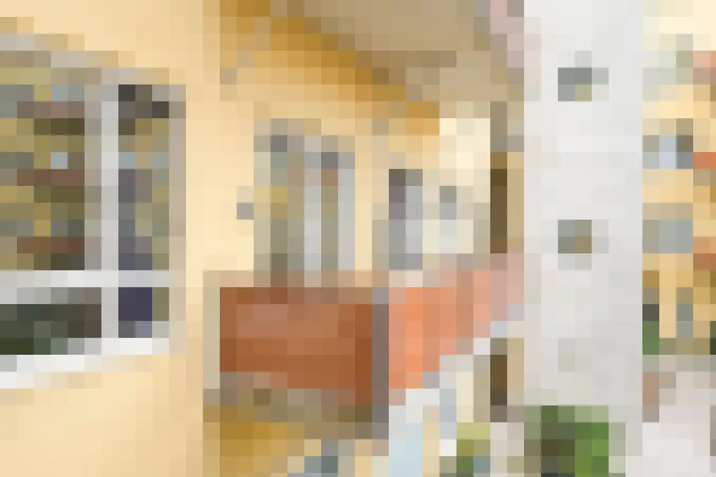 Prinsestraat 6 E Den Haag thumbnail 30