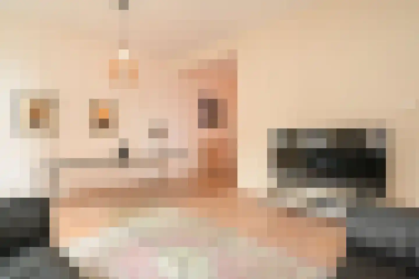 Prinsestraat 6 E Den Haag thumbnail 4