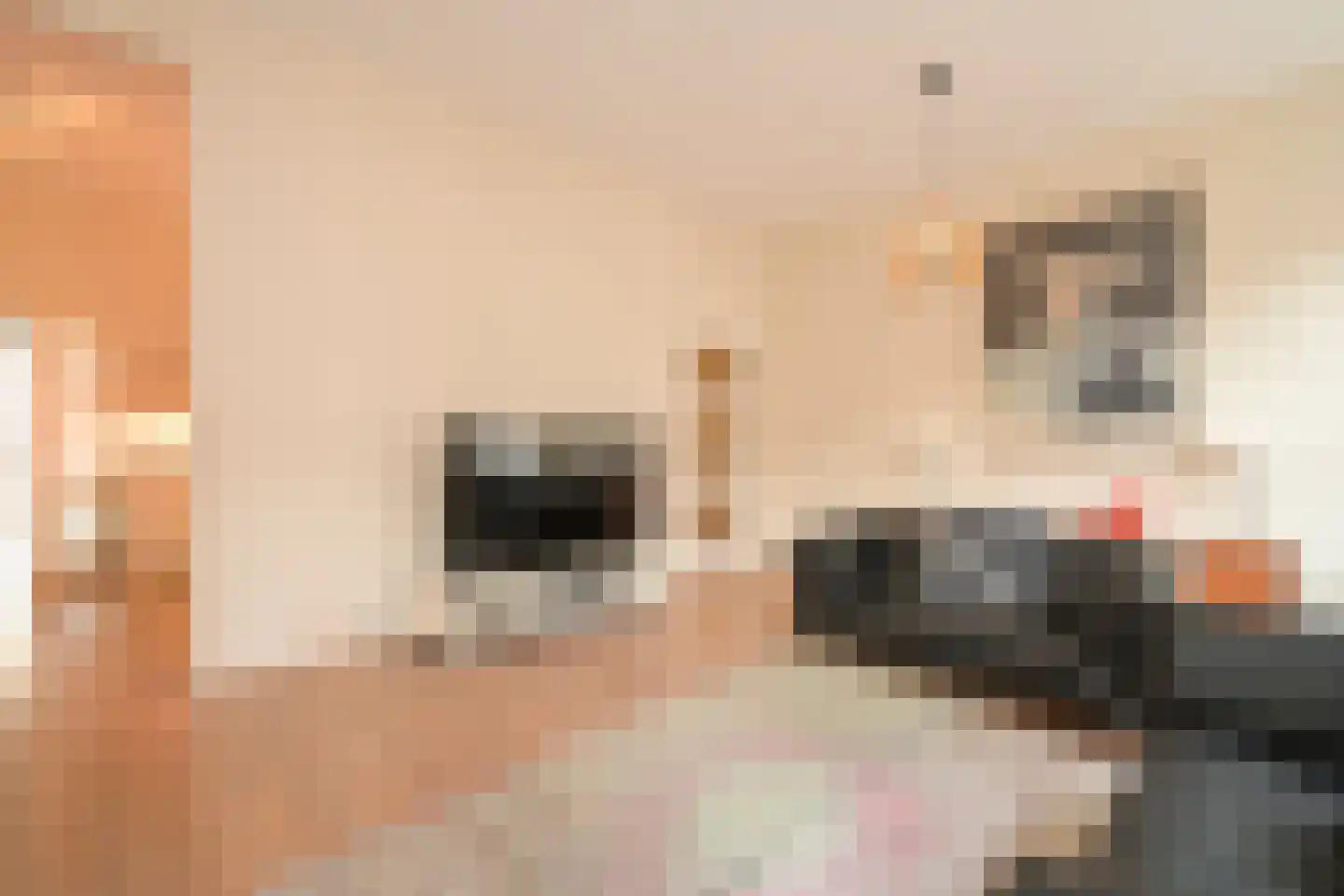 Prinsestraat 6 E Den Haag thumbnail 5