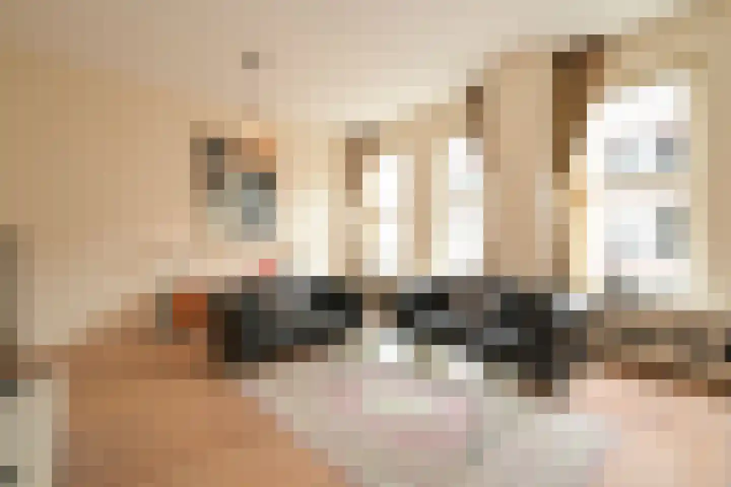 Prinsestraat 6 E Den Haag thumbnail 6