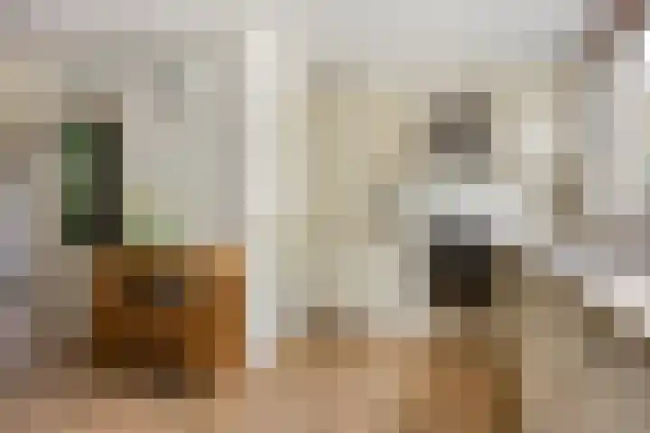 Prinsestraat 9 Rozenburg thumbnail 10
