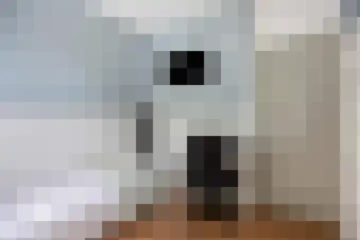 Prinsestraat 9 Rozenburg thumbnail 19