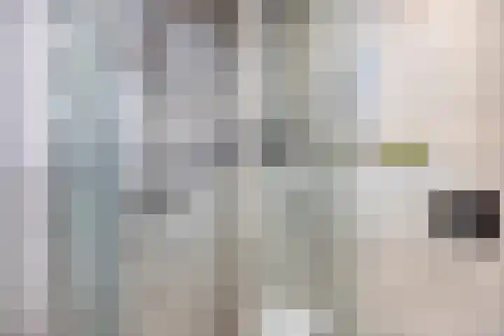 Prinsestraat 9 Rozenburg thumbnail 22