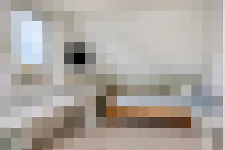 Prinsestraat 9 Rozenburg thumbnail 25