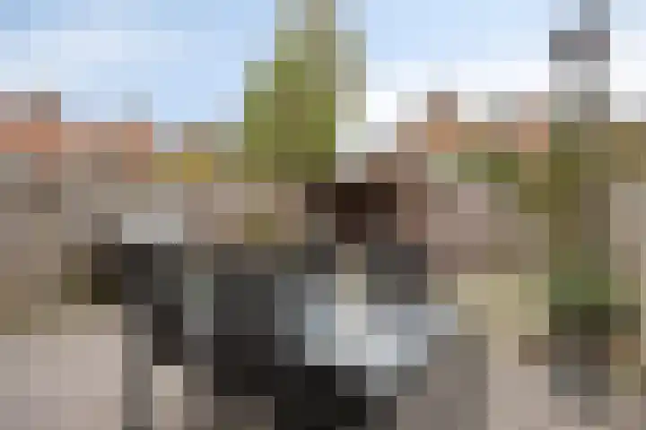 Prinsestraat 9 Rozenburg thumbnail 30