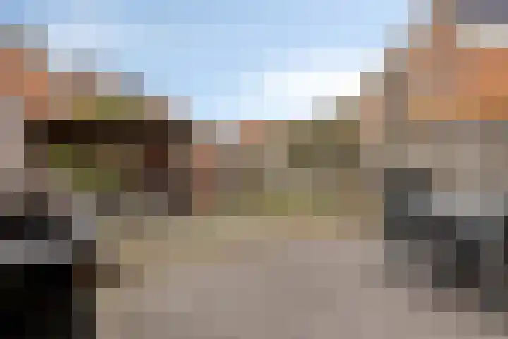 Prinsestraat 9 Rozenburg thumbnail 31