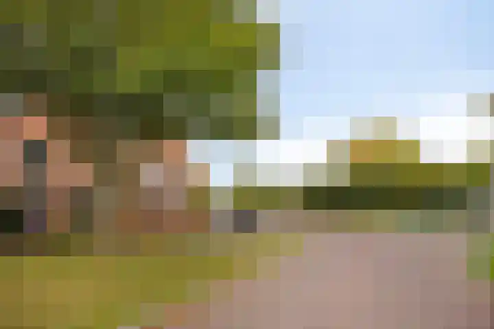 Prinsestraat 9 Rozenburg thumbnail 37