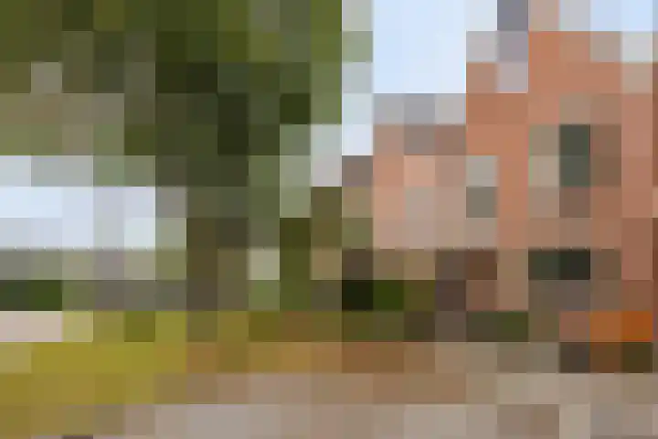 Prinsestraat 9 Rozenburg thumbnail 6