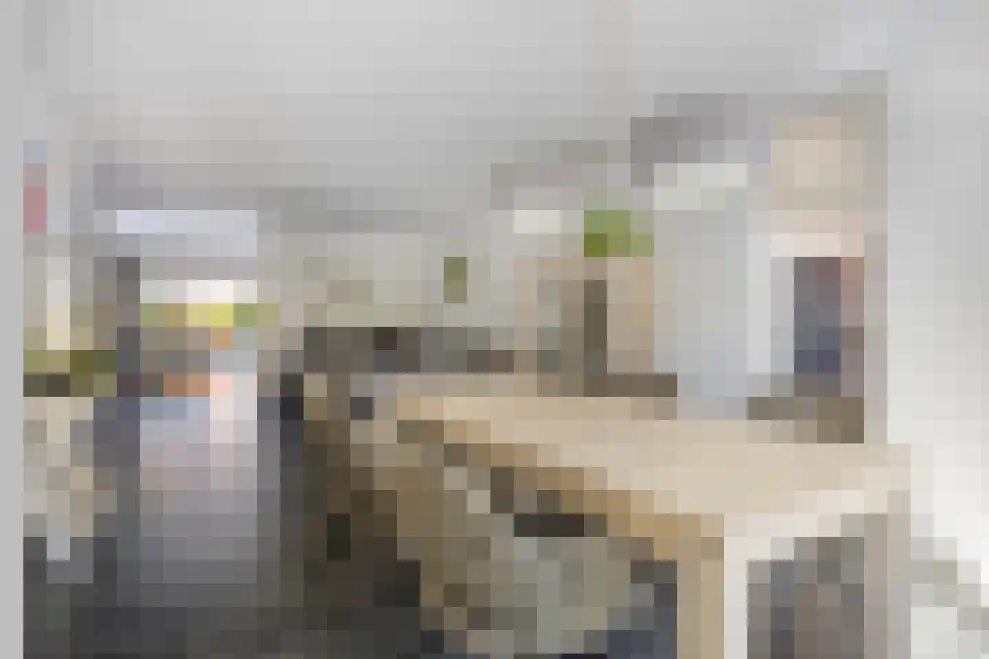 Prinseveld 28 Erp thumbnail 11