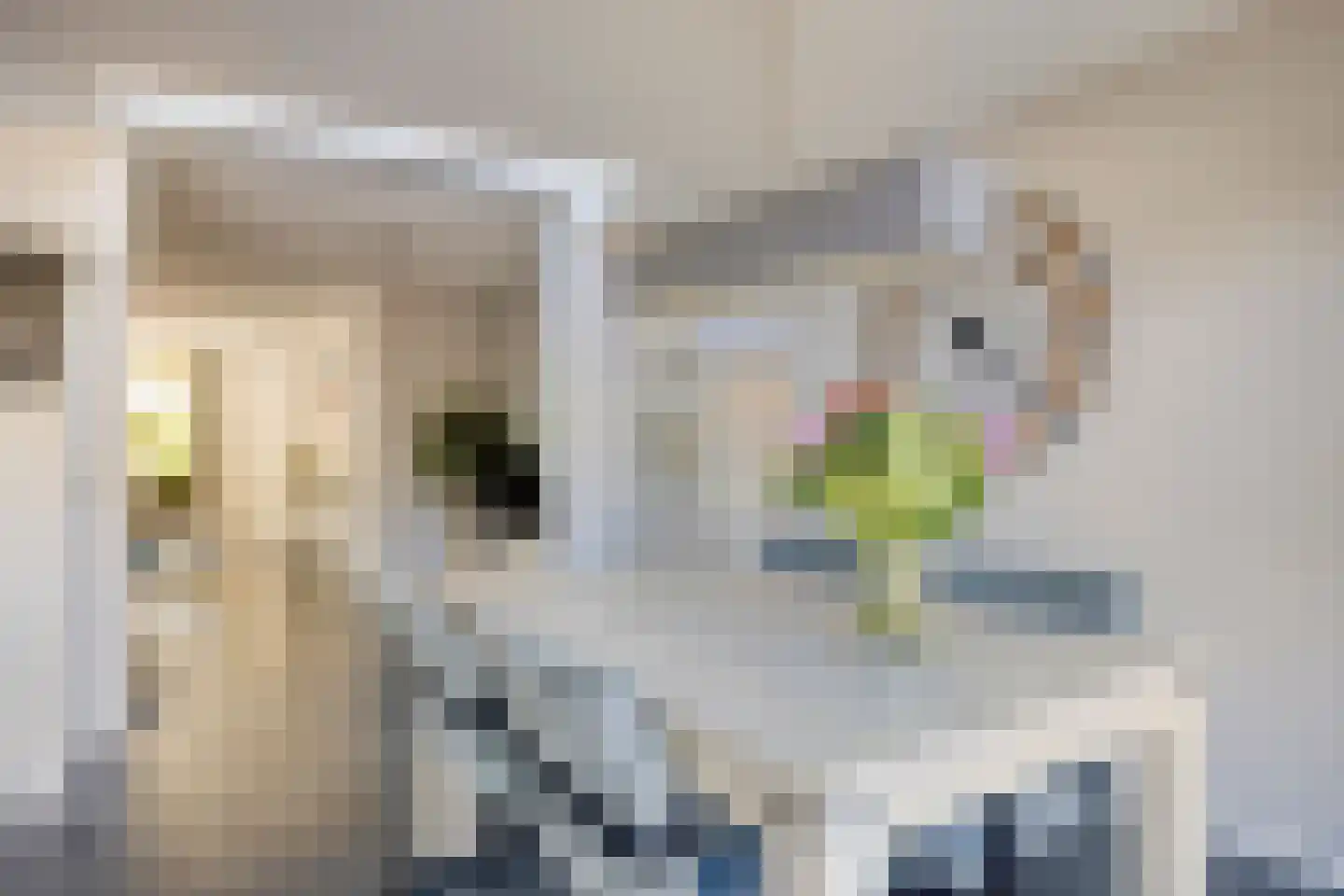 Prinseveld 28 Erp thumbnail 14