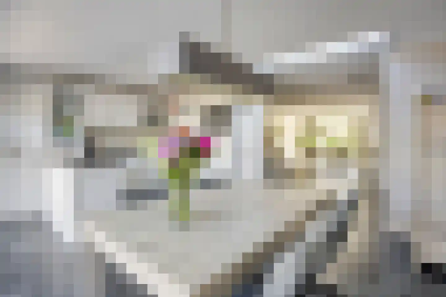 Prinseveld 28 Erp thumbnail 15