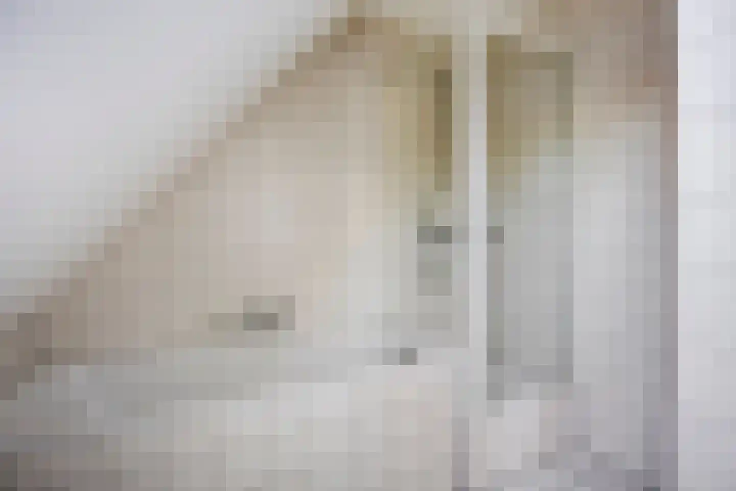 Prinseveld 28 Erp thumbnail 23