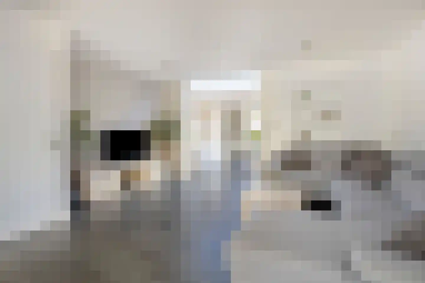Prinseveld 28 Erp thumbnail 9
