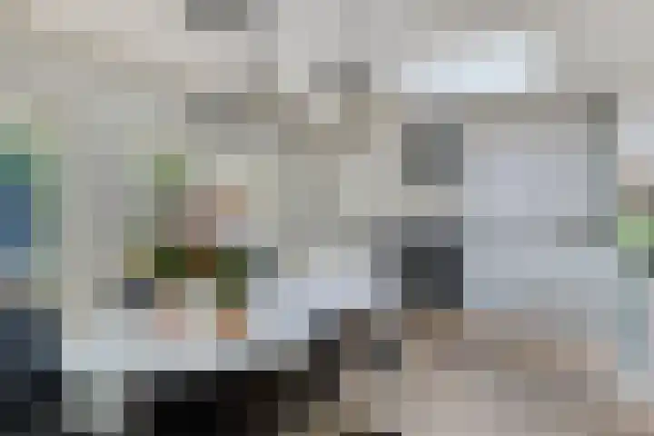 Prinzenstraat 19 Gemert thumbnail 20
