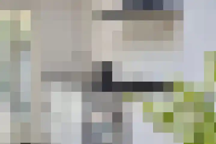 Prinzenstraat 19 Gemert thumbnail 22