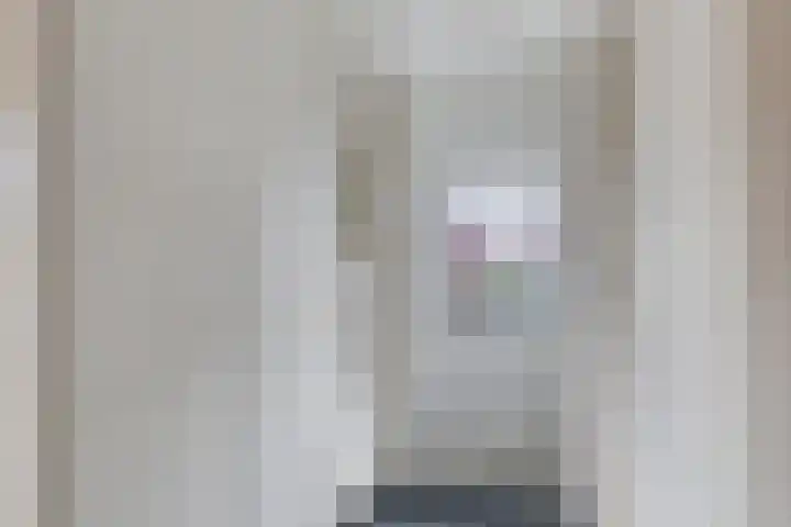 Prinzenstraat 19 Gemert thumbnail 25