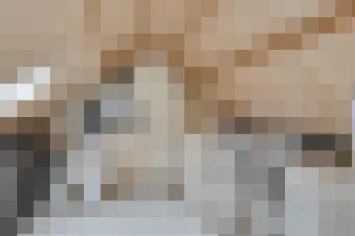 Prinzenstraat 19 Gemert thumbnail 34