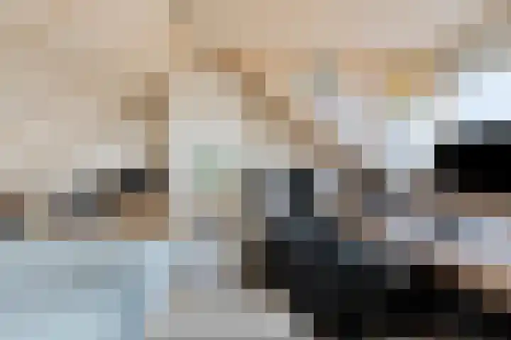 Prinzenstraat 19 Gemert thumbnail 35