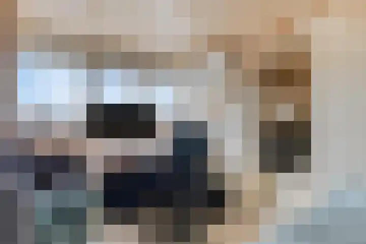 Prinzenstraat 19 Gemert thumbnail 36