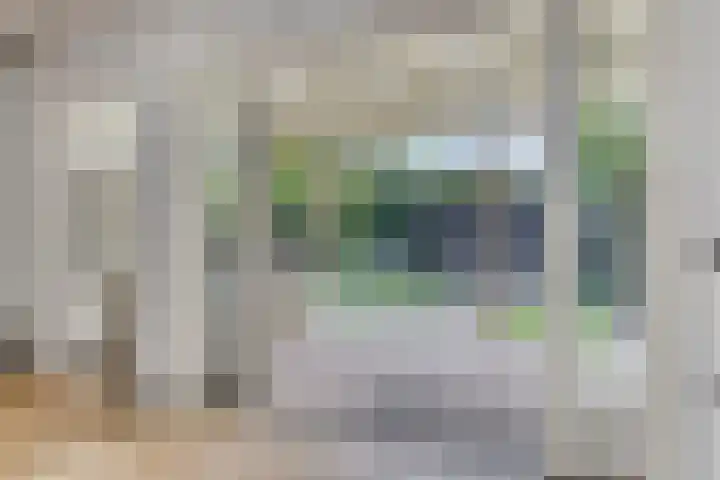 Prinzenstraat 19 Gemert thumbnail 4