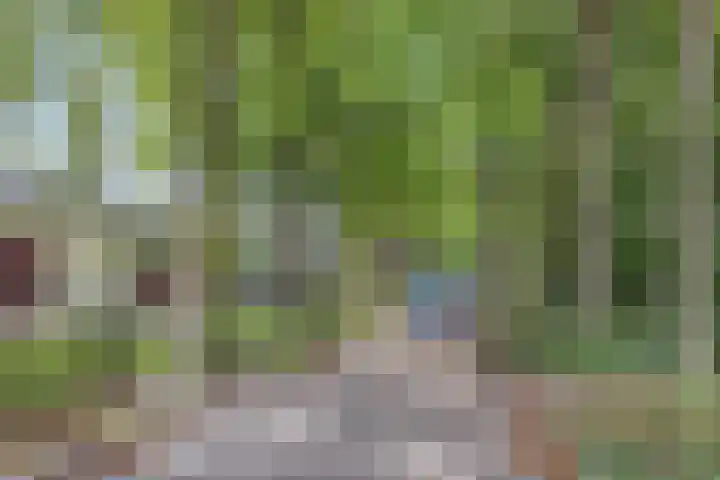 Prinzenstraat 19 Gemert thumbnail 43