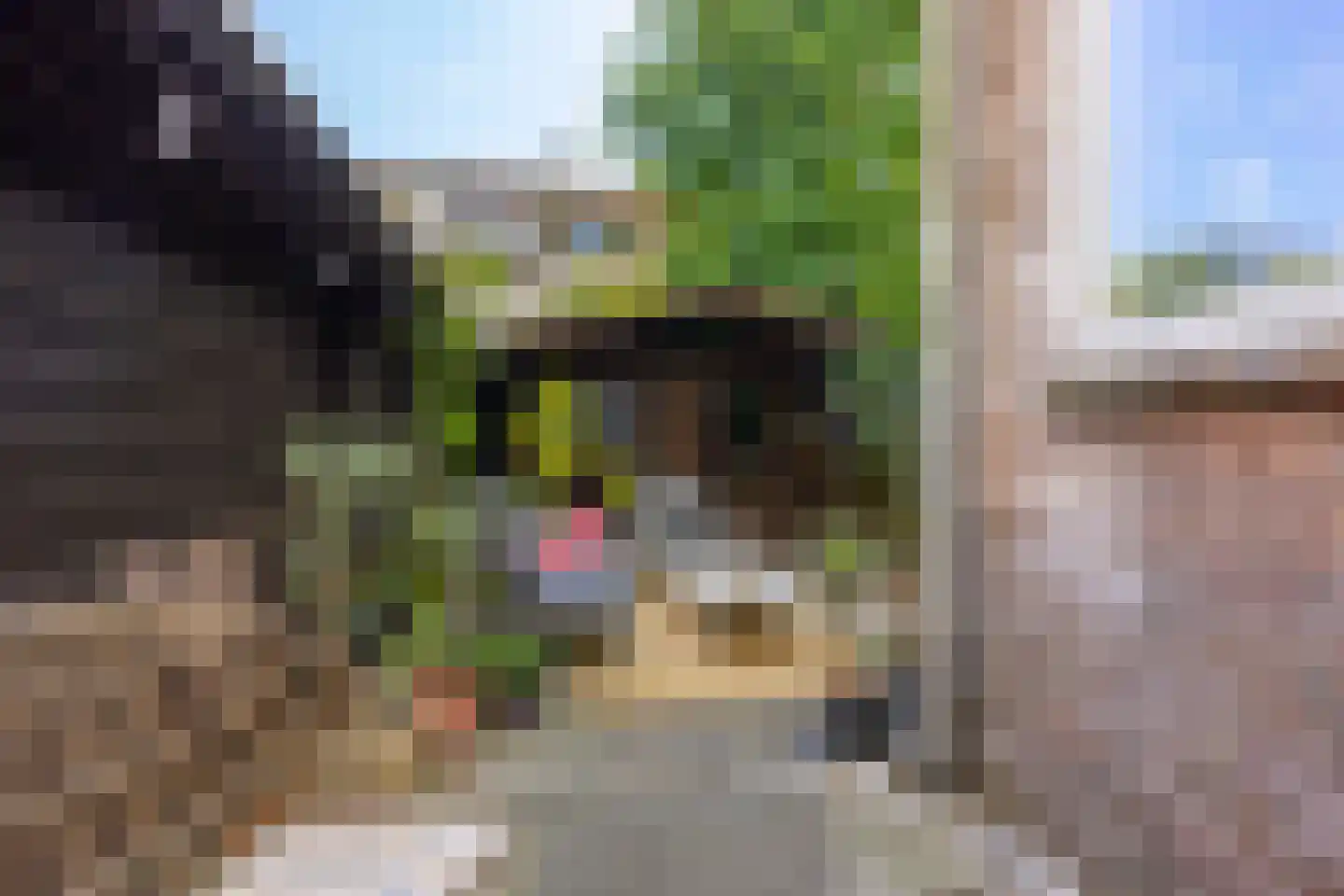Priokstraat 18 Utrecht thumbnail 39