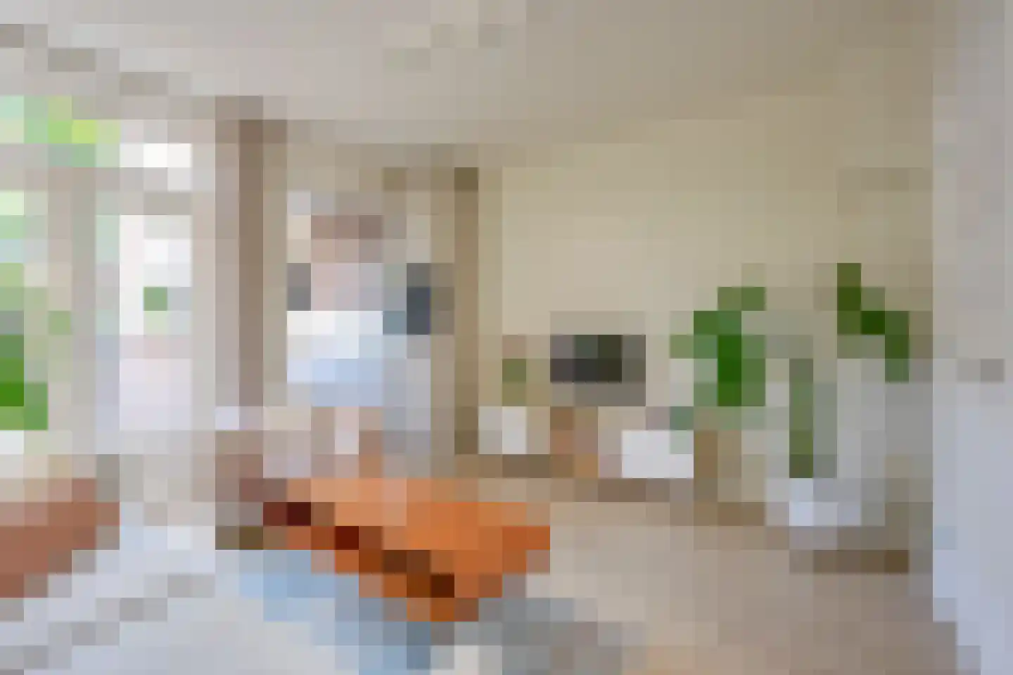 Priokstraat 18 Utrecht thumbnail 7