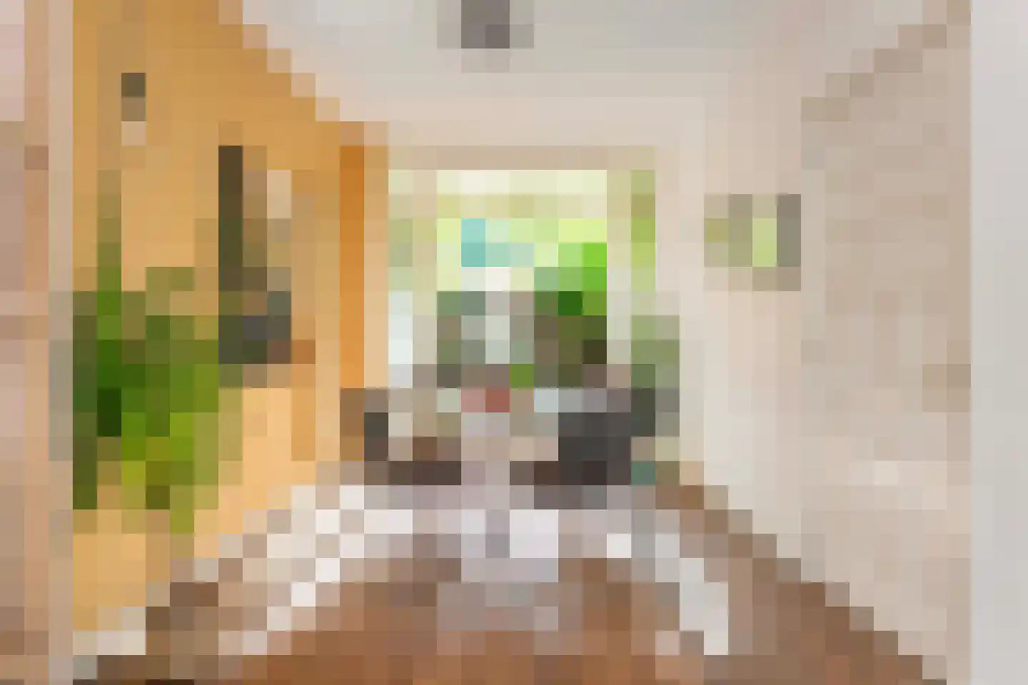 Priokstraat 28 Utrecht thumbnail 19