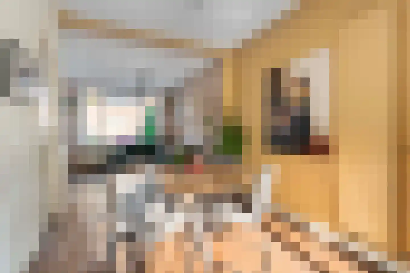 Priokstraat 28 Utrecht thumbnail 21