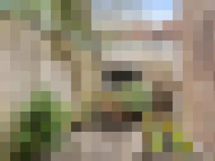 Priokstraat 3 Utrecht thumbnail 16