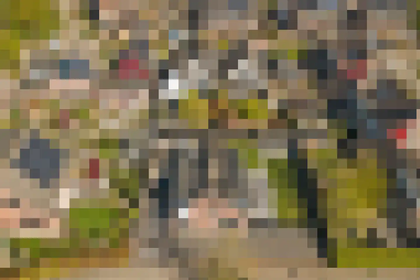 Prior 11 Grootebroek thumbnail 32